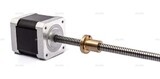 Шаговый двигатель 42HSL48-1204JA08-E150 (Tr8*8) - st-e.info - Благовещенск