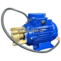 Двигатель + помпа для блока жидкостного охлаждения 3510В с выходящим валом - st-e.info - Благовещенск